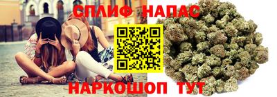 тгк Каменск-Шахтинский