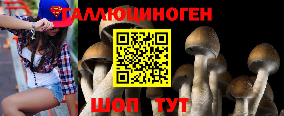 Галлюциногенные грибы Magic Shrooms  Псилоцибиновые грибы Psilocybine cubensis  Вход с VPN  Борзя 